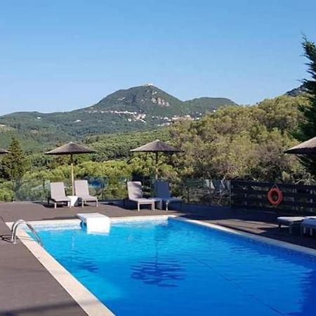 Diogenis Parga Studios Bagian luar foto