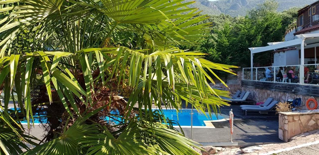 Diogenis Parga Studios Bagian luar foto
