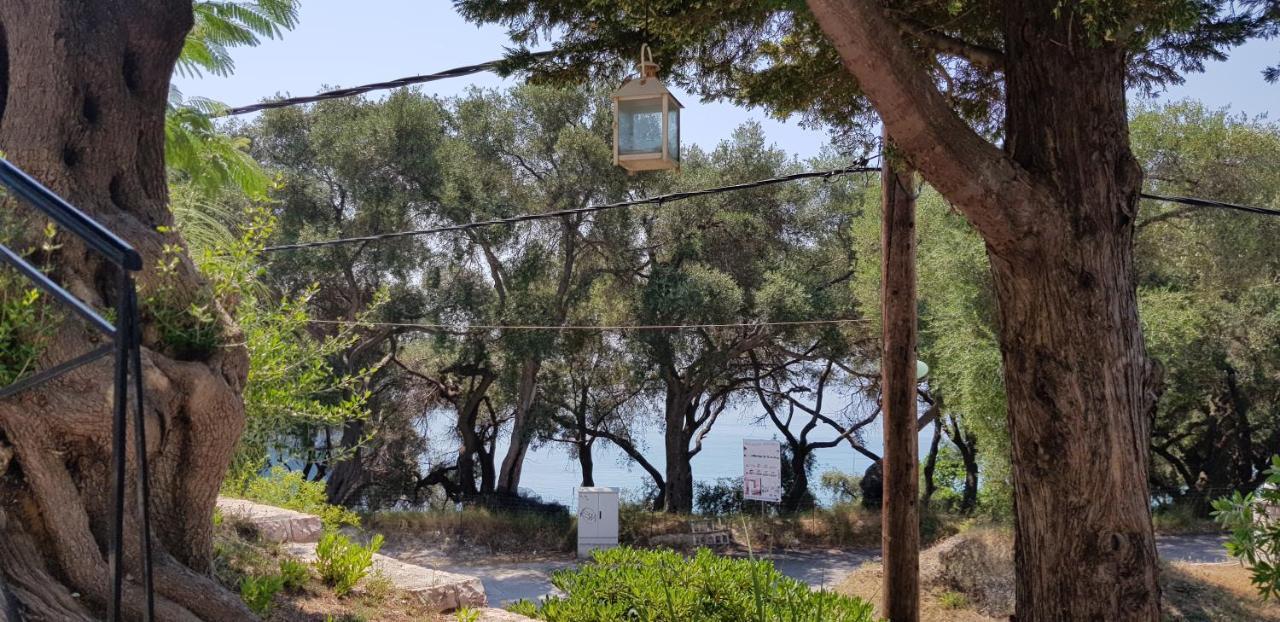 Diogenis Parga Studios Bagian luar foto